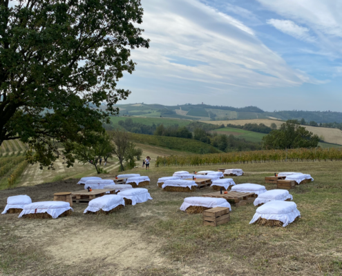 festa_foliage_ottiglio_monferrato
